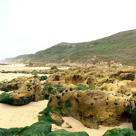 Casa Da Vitoria Falca